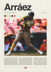 San Diego Pinstripe Baseball Infielder Action Wall Poster (baseball poster)