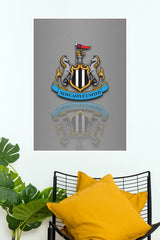 Newcastle United Football Club Logo Reflection Wall Poster (Football poster)