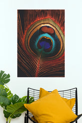 Peacock Feather Eye Wall Poster | Vibrant Nature & Peacock Art Print | The Poster Valley (God Poster)