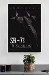 Black Bird Poster | Fighter Plan Posters
