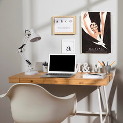Black Swan Poster | Hollywood Movies Posters