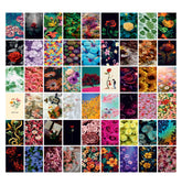 Flower | Super 60 Posters Set