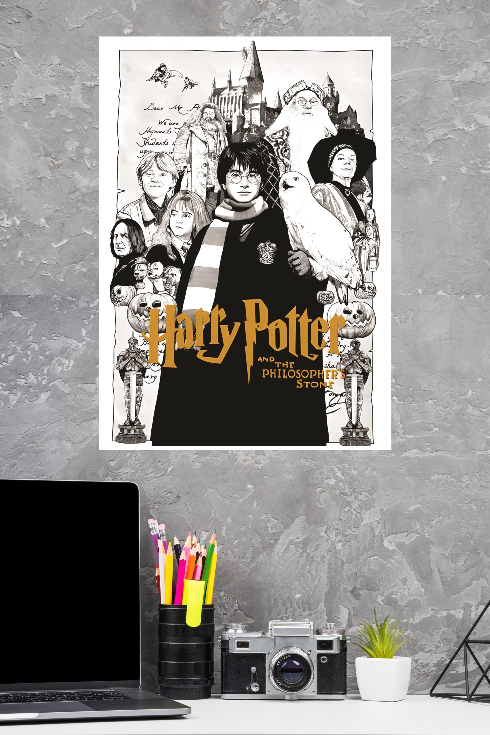 Harry Potter Movie Poster | Hollywood Posters