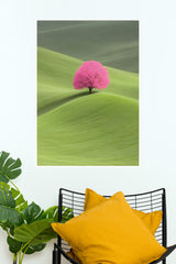 Wild flower Field Poster | The Green World Poster