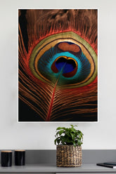 Peacock Feather Poster | God Posters