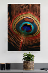 Peacock Feather Poster | God Posters