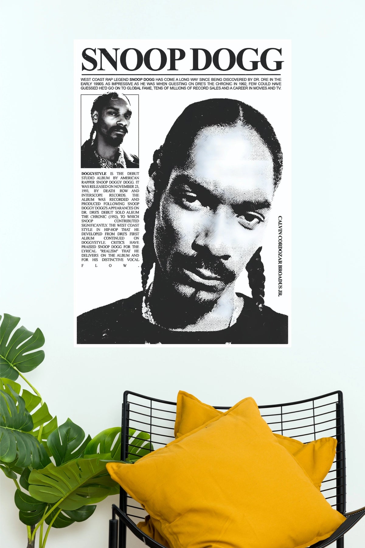 Snoop Dogg Biographical Monochrome Art Poster (Music Posters)