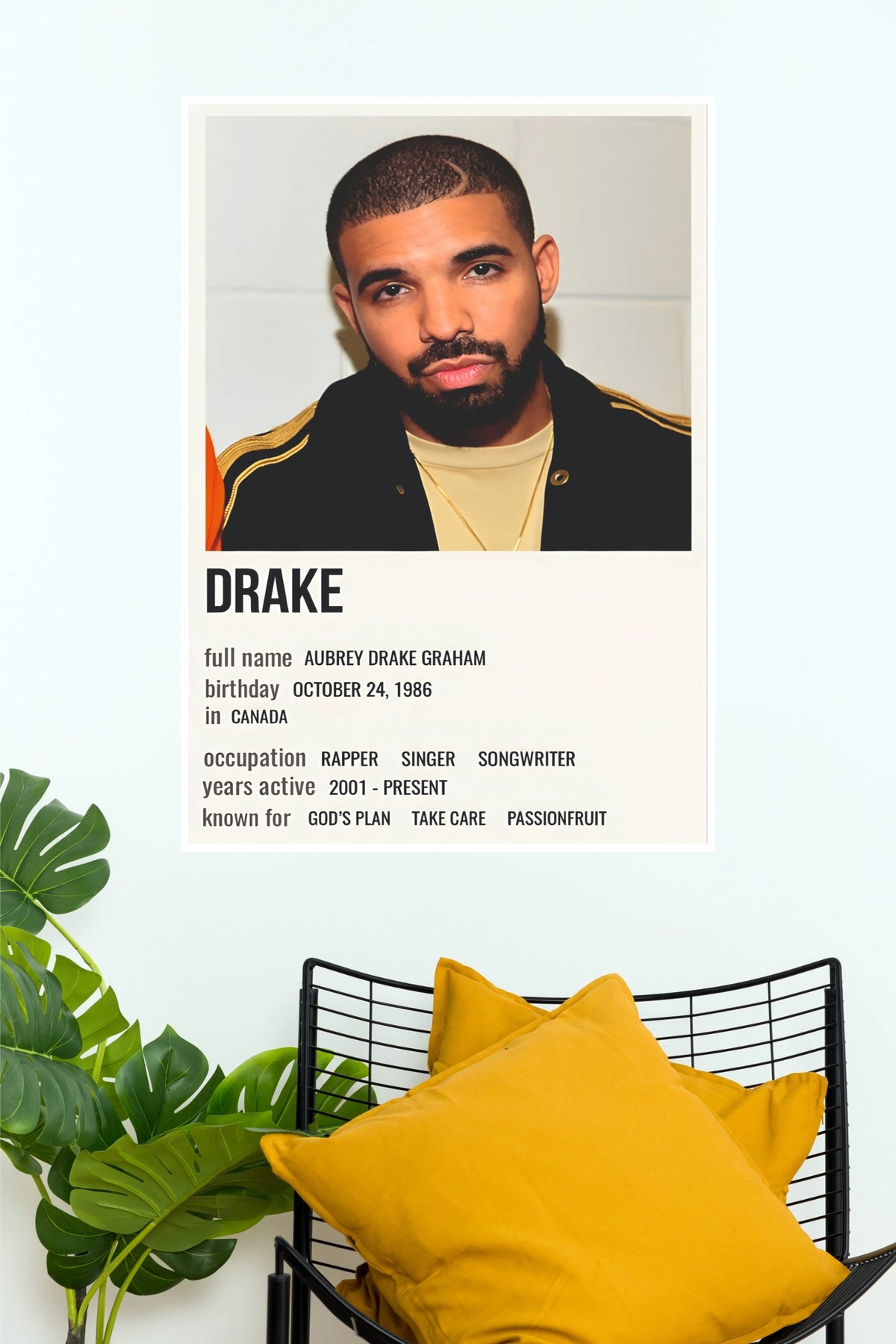 Drake Biographical Portrait Art Poster (Music Posters)