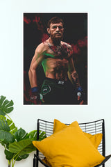 Conor McGregor The Notorious Fighter Wall Poster (UFC  Posters)