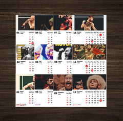 UFC Ultimate Fighting Championship Premium Table Desk Calendar