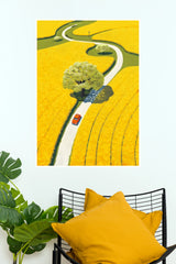 Golden Fields Red Car Winding Road Wall Art Poster  (The Green World Posters)