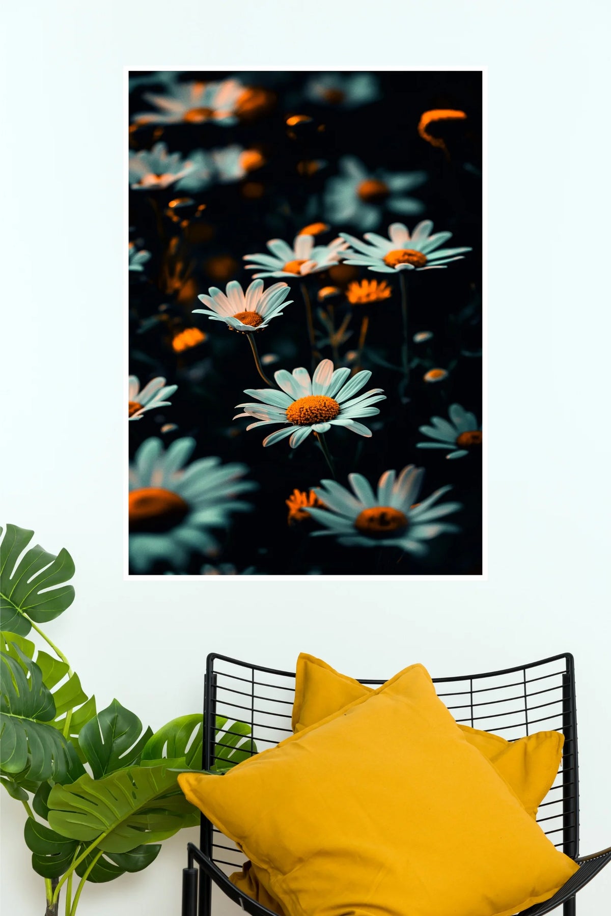Beautiful White Daisy Flowers Poster | Bellis Perennis Floral Nature Wall Art  (Art Posters)