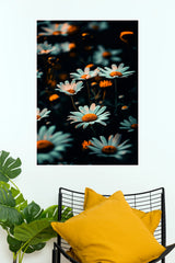 Beautiful White Daisy Flowers Poster | Bellis Perennis Floral Nature Wall Art  (Art Posters)