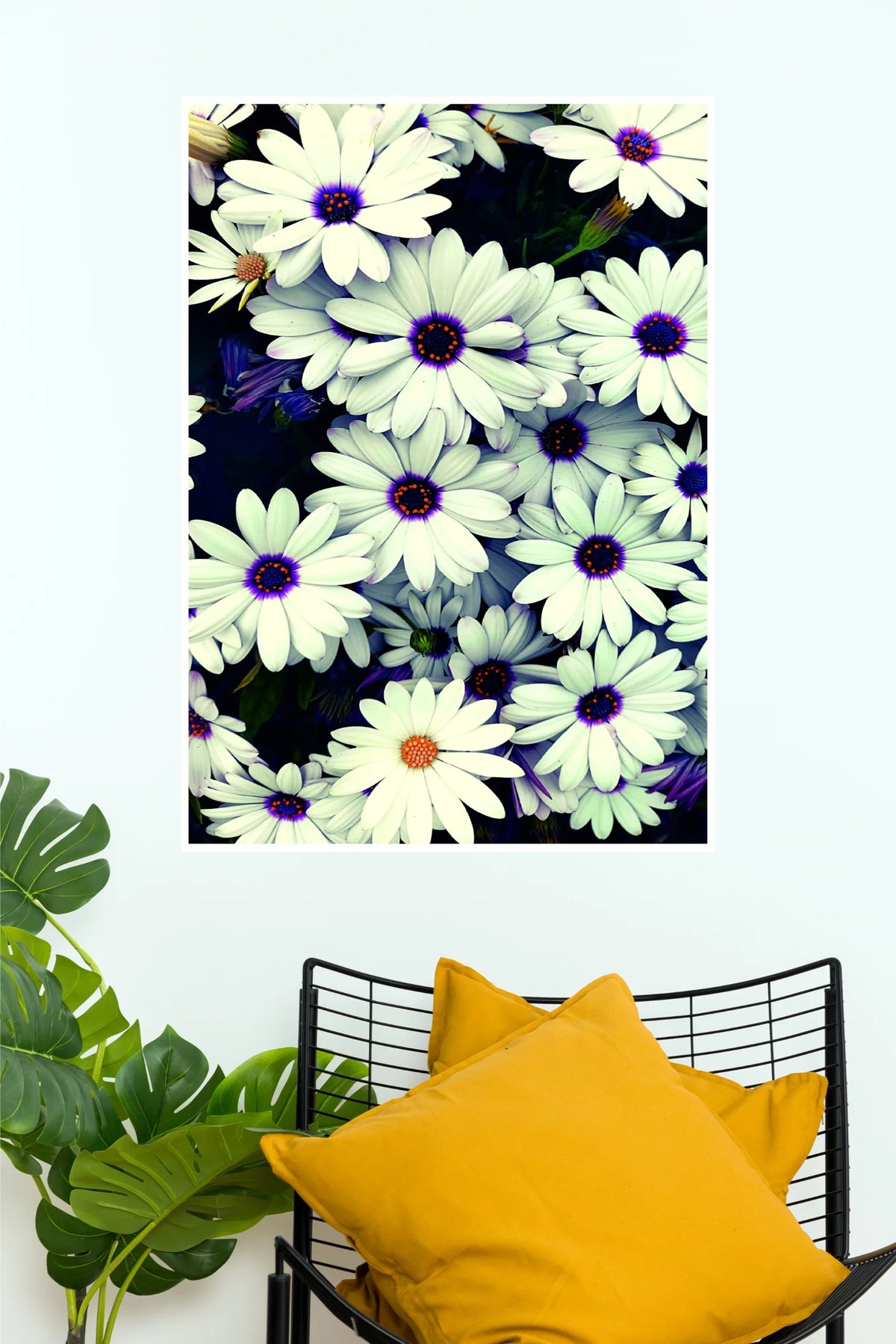 Flowers in Springtime Poster | White Daisy Floral Nature Wall Art  (Art Posters)