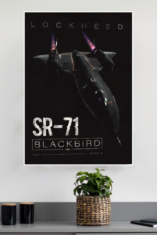 Black Bird Poster | Fighter Plan Posters