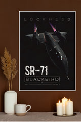 Black Bird Poster | Fighter Plan Posters