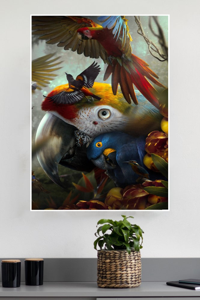 Colorful Birds Poster | Animal Posters