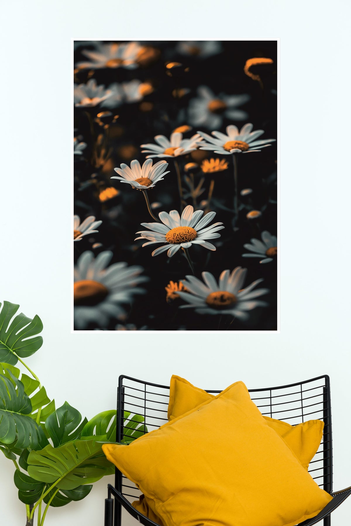 Bellis perennis Poster | Art Posters