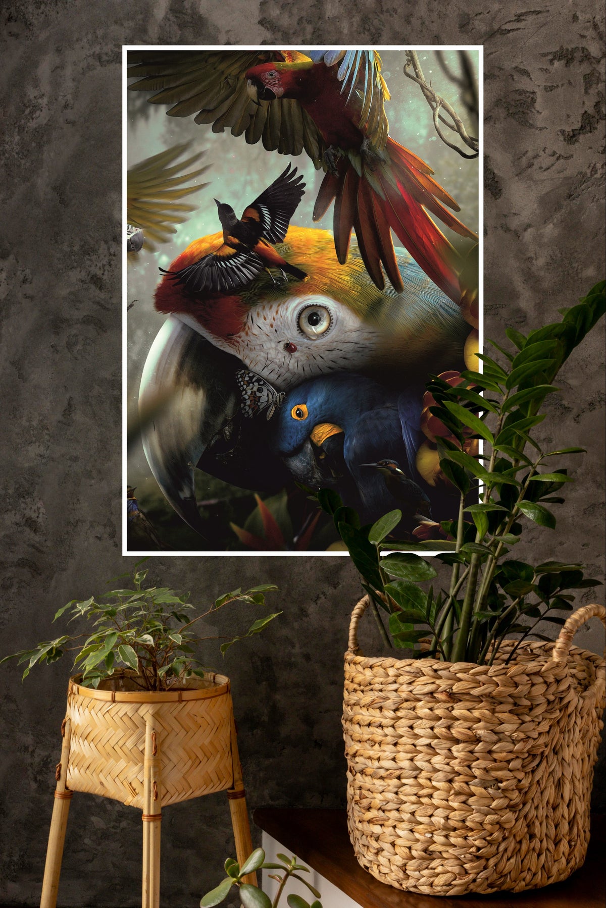 Colorful Birds Poster | Animal Posters