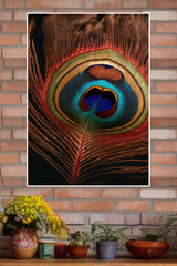 Peacock Feather Poster | God Posters