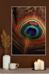 Peacock Feather Poster | God Posters