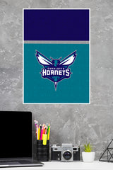 Charlotte Hornets Poster | Football Posters